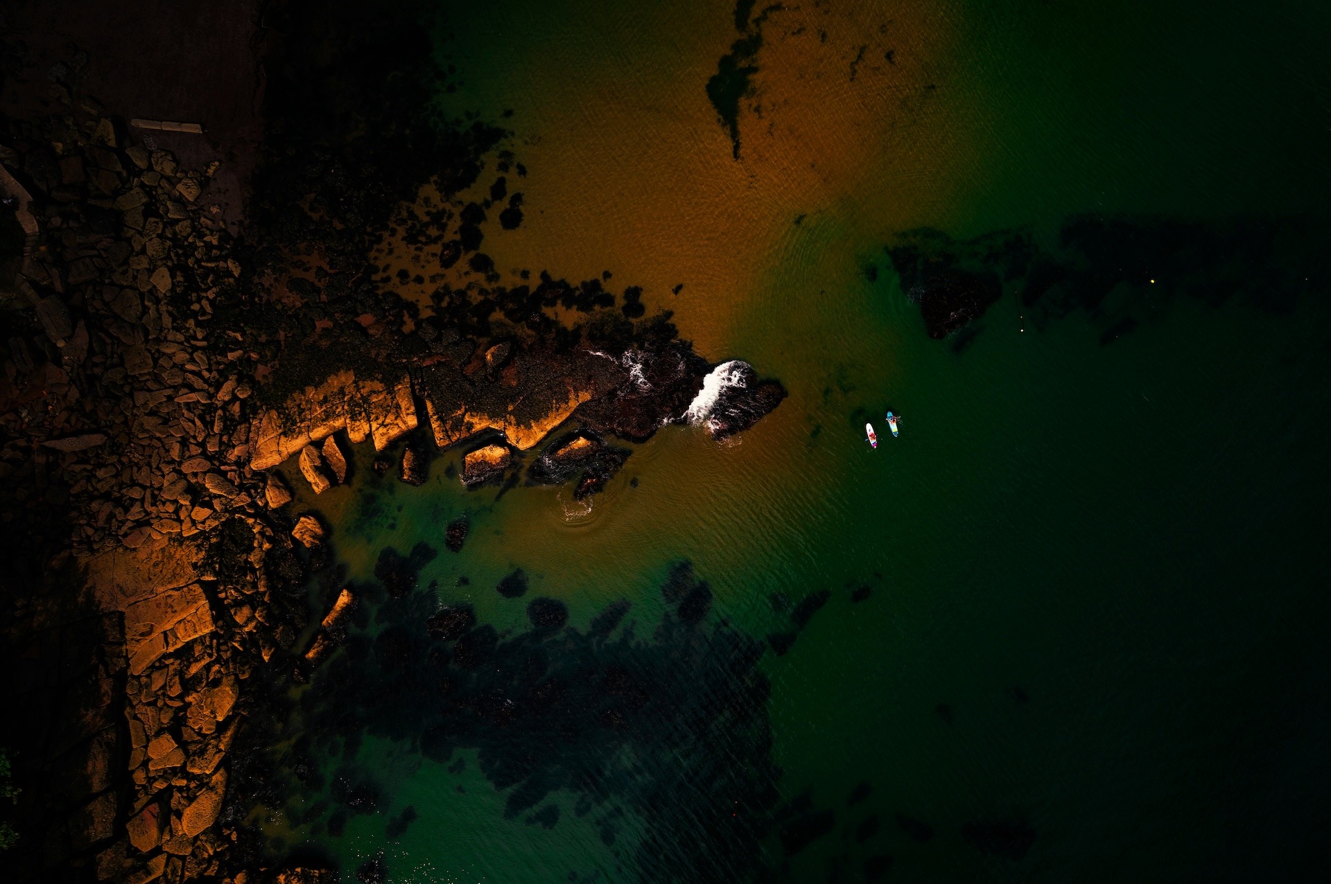 Defining Your Purpose & Target Audience